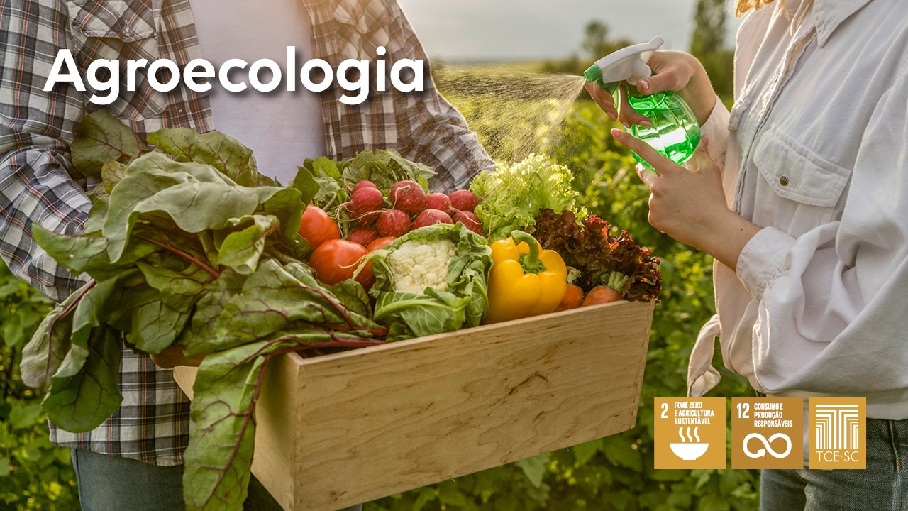 TCE/SC orienta municípios quanto à agroecologia e à produção orgânica