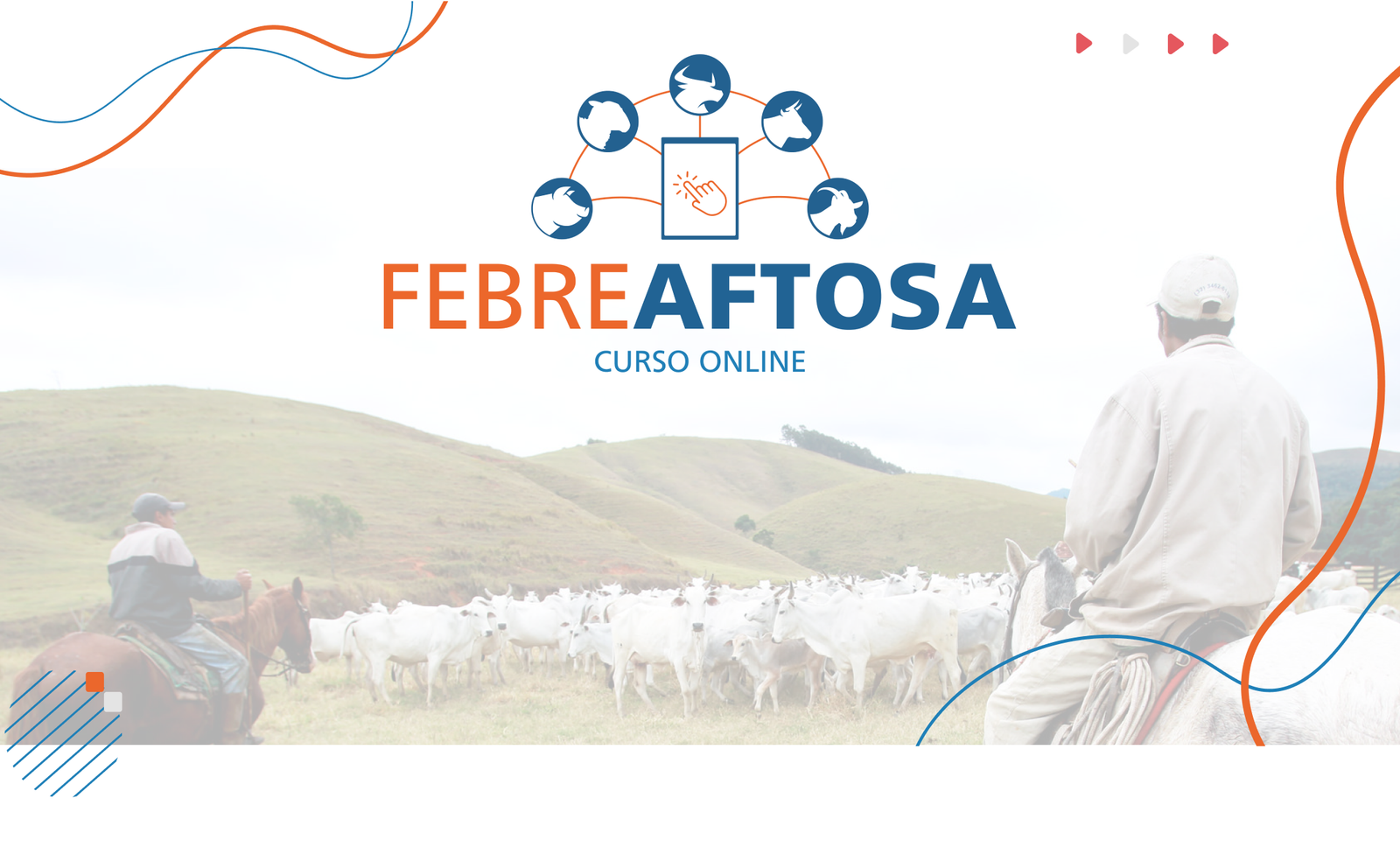 Estratégias e desafios para a manutenção do status sanitário da Febre Aftosa