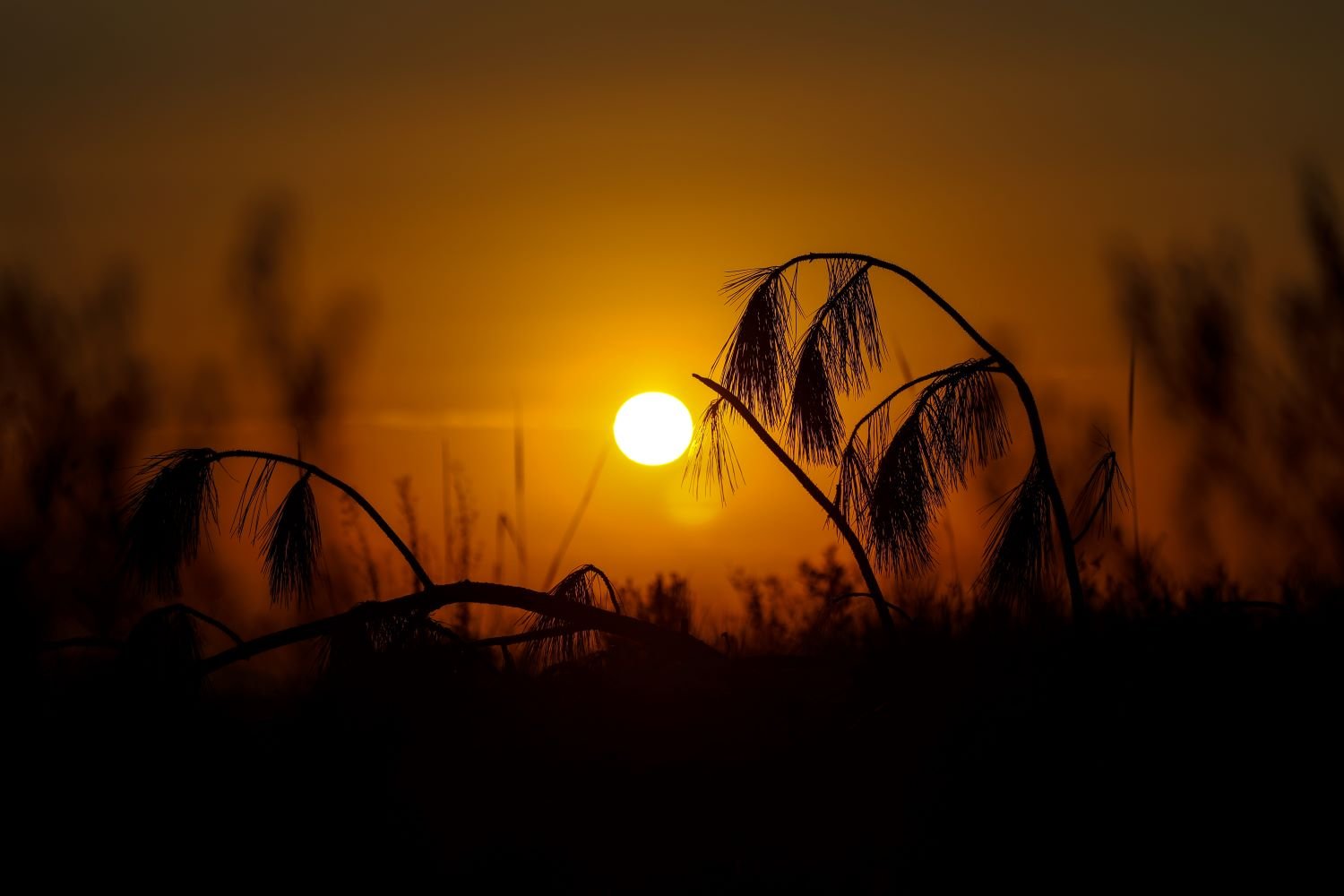 Santa Catarina enfrenta onda de calor e registra temperaturas extremas de quase 40°C