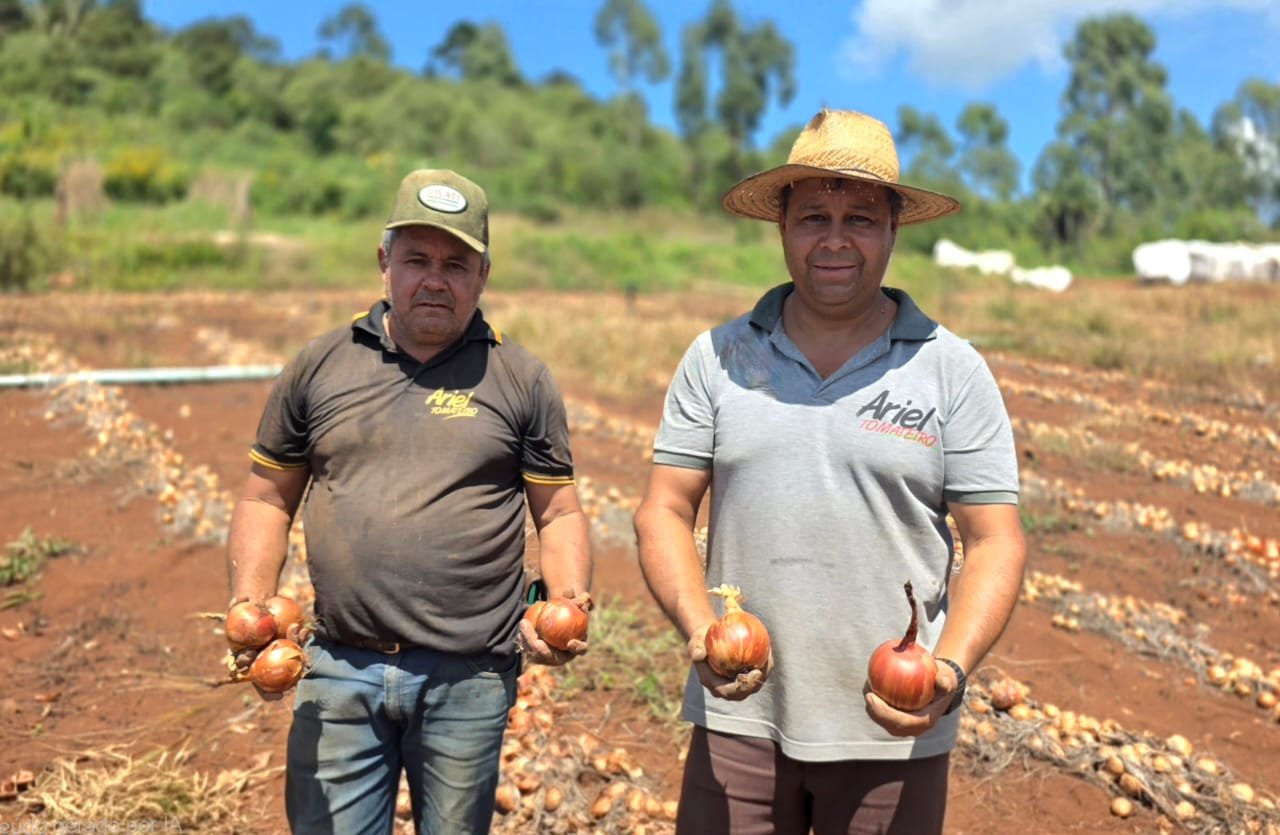 Lebon Régis se destaca na produção de hortifruti