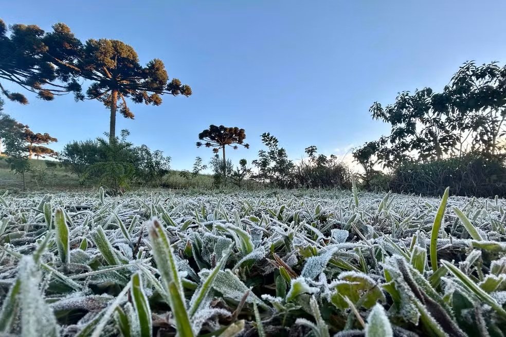 ‘onda polar’ trará primeiro grande frio do ano a partir de hoje