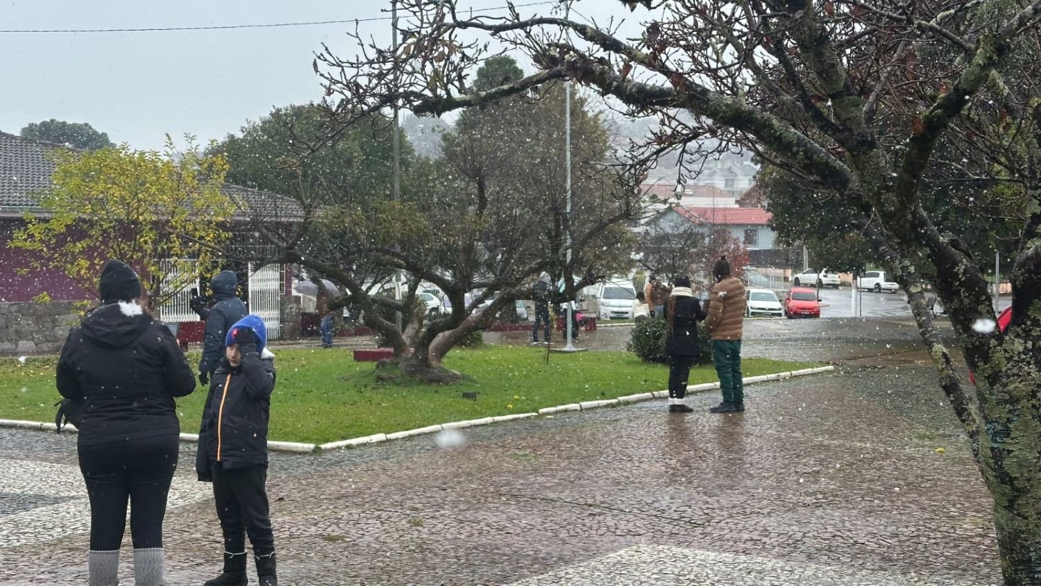 Primeira neve do ano é registrada em Santa Catarina nesta quinta-feira