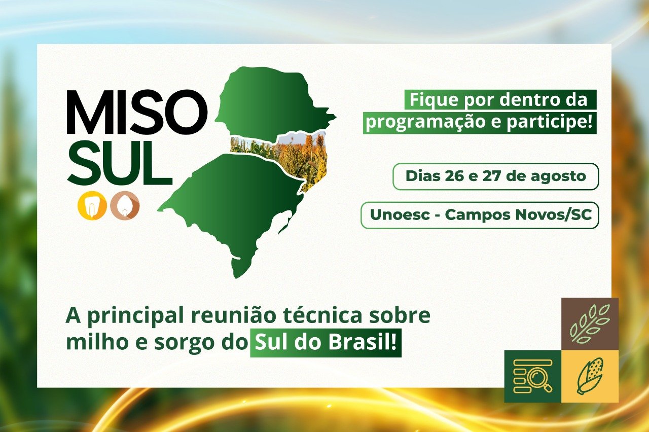 Campos Novos-SC sedia a IV MISOSUL – Reunião Técnica Sul-Brasileira de Pesquisa de Milho e Sorgo