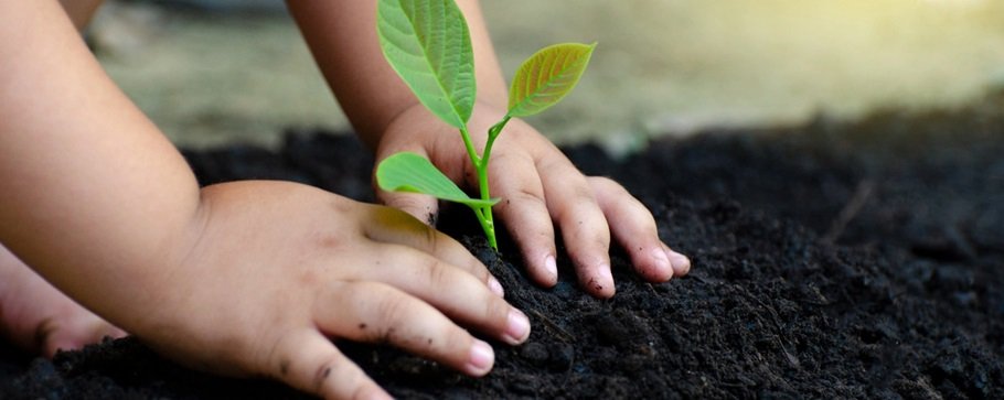 Sustentabilidade: a força da cooperação a favor de um futuro melhor