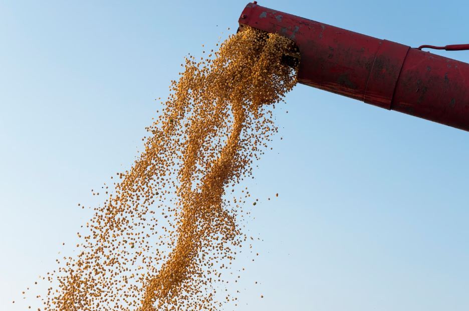Gigante chinesa autoriza compra de terras no Brasil para plantio de grãos; entenda