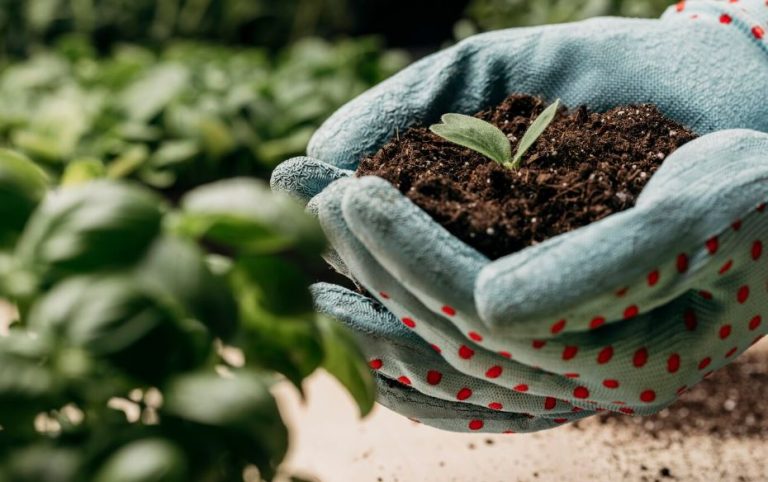 mportações de fertilizantes no Brasil crescem em 2025, com destaque para produtos menos concentrados que ganham espaço no setor agrícola.