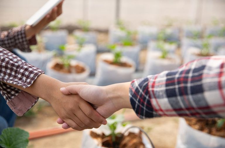 Seguro rural poderá se tornar obrigatório para crédito agrícola com subsídio