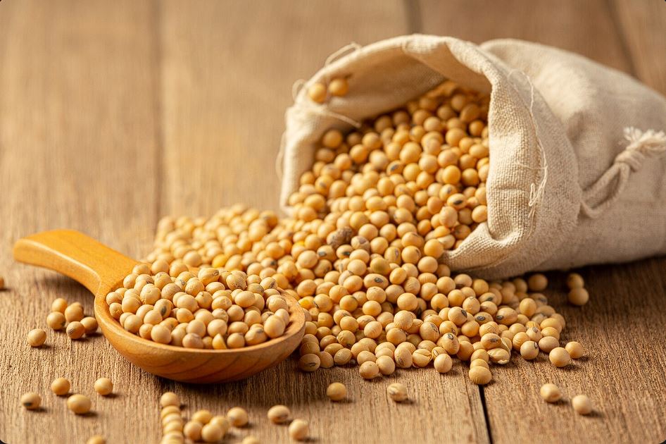 Soja encerra semana volátil com leves altas em Chicago e cautela no mercado