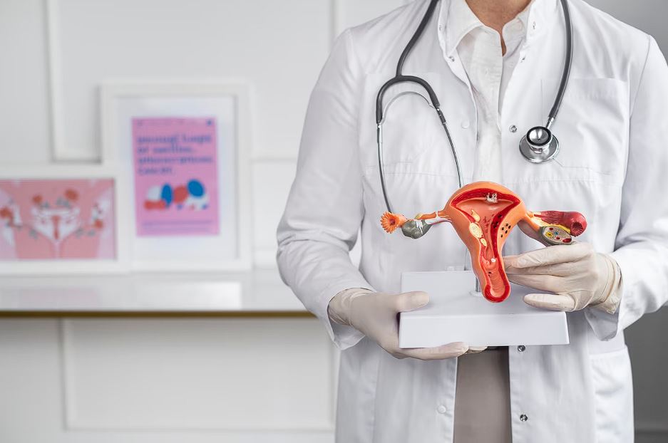 SUS inicia testagem de HPV com tecnologia mais precisa para prevenir câncer de colo do útero