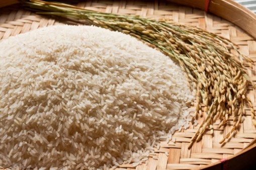 Conab anuncia R$ 300 milhões para apoiar produtores de arroz no Brasil