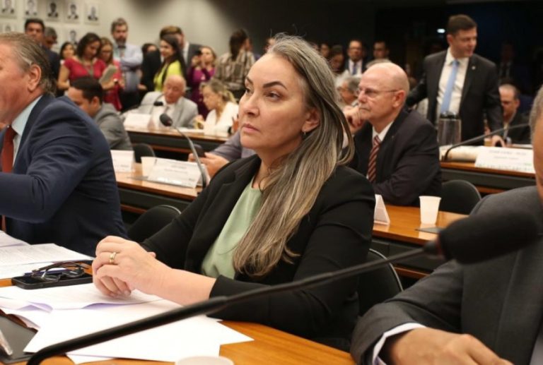 Daniela Reinehr cobra, de ministro da Fazenda, soluções para crédito no campo