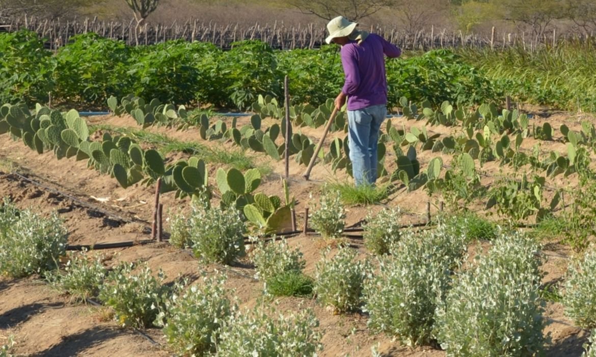Conselho Monetário Nacional simplifica crédito rural