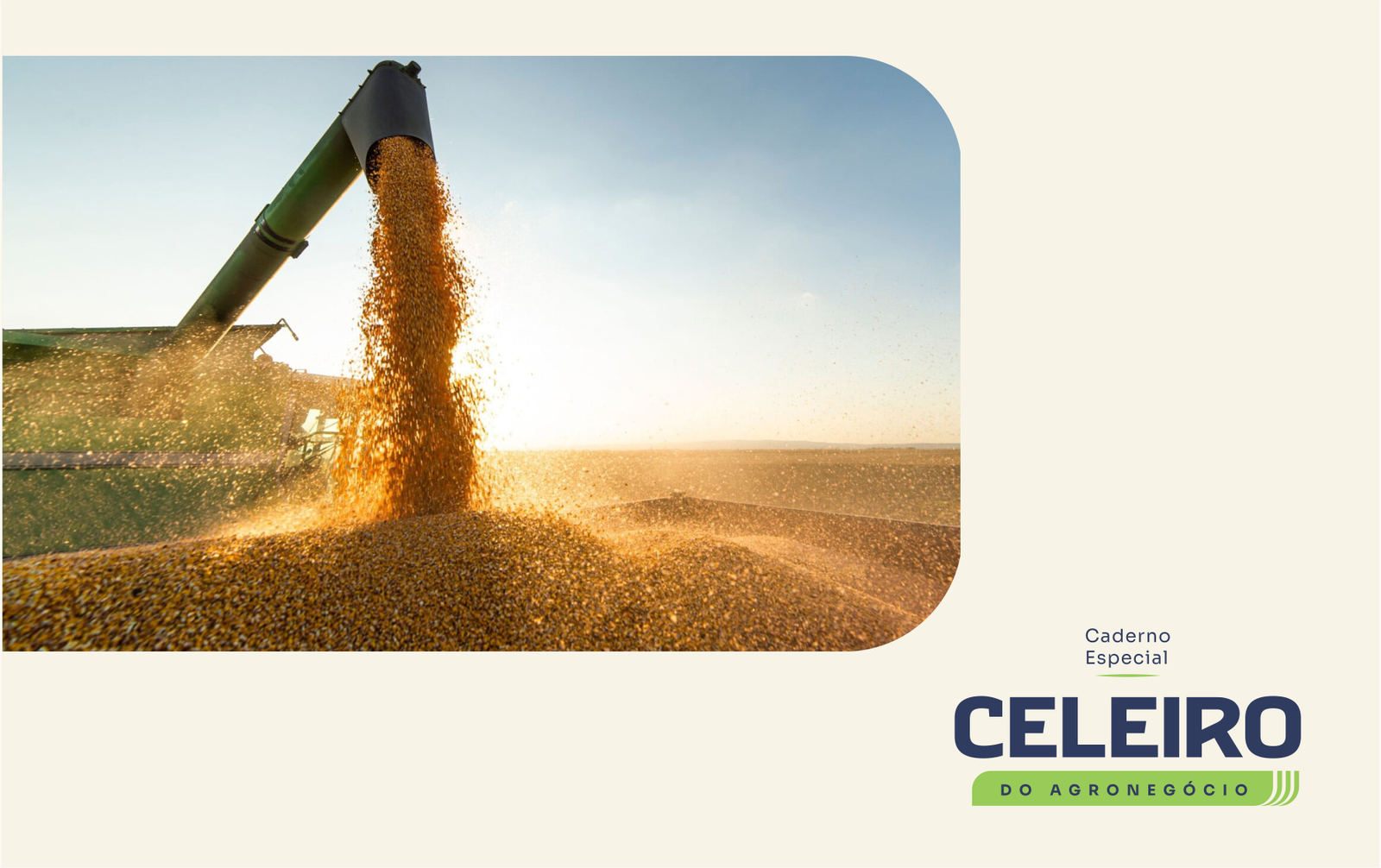 Campos Novos, Celeiro Catarinense: Da madeira ao agro, com a soja no topo estadual