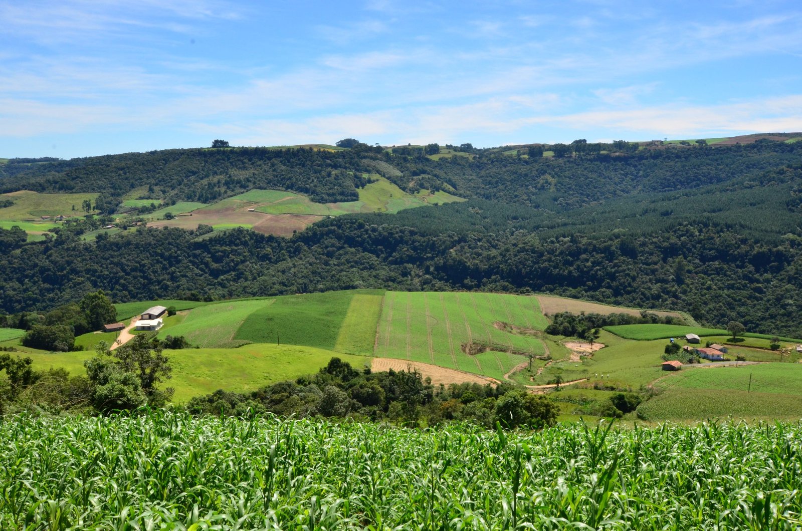 Coopera Agro SC é aprovado na Alesc