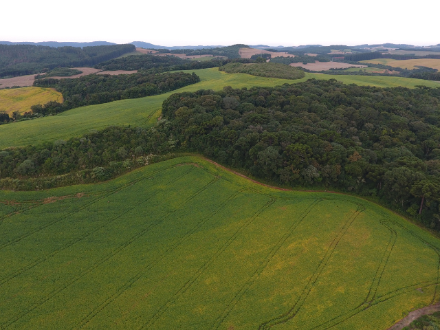 Futuro da pesquisa agropecuária mira bioinsumos e agricultura digital