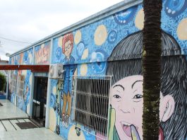 APAE projeta 2026 com ampliação de atendimentos e investimentos