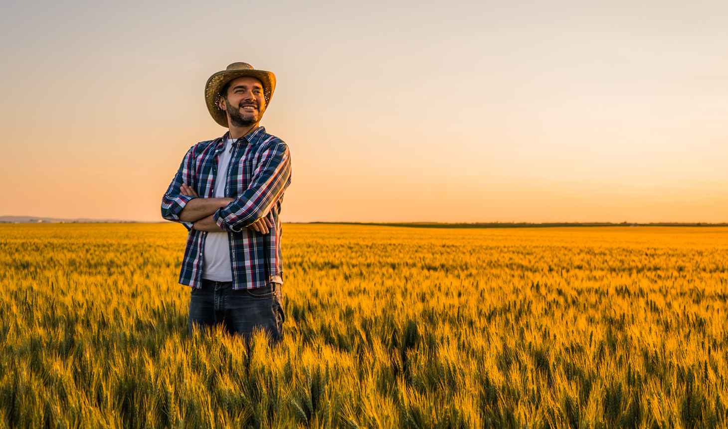 Confira estratégias para reduzir riscos e aumentar a rentabilidade no agronegócio