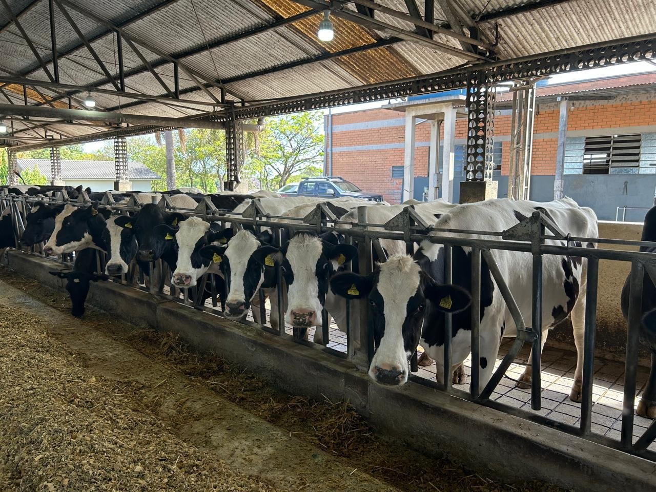 Mais de R$ 4,5 milhões são movimentados no 1º dia de operações do Pronampe Leite