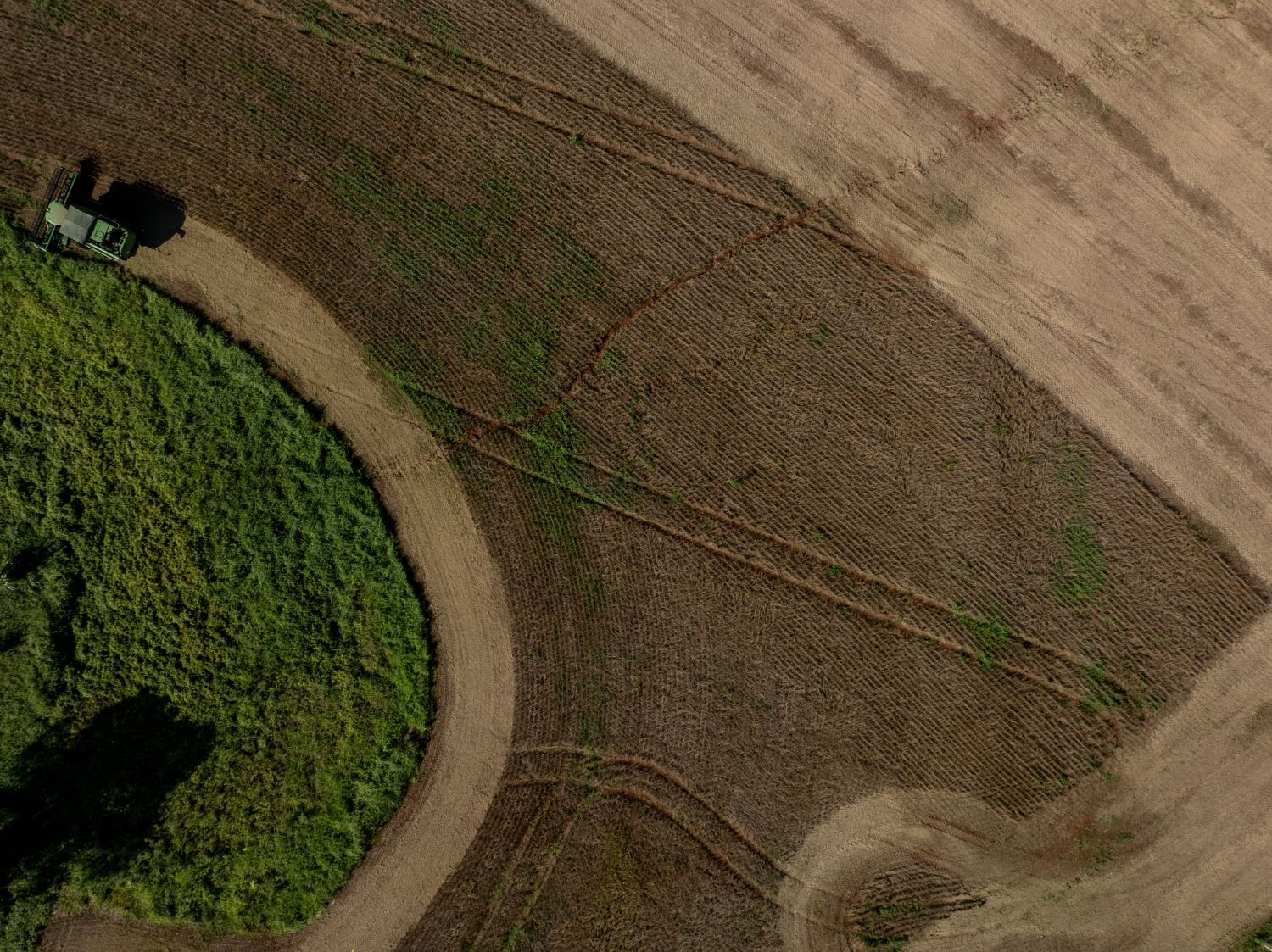 Valor de Produção Agropecuária catarinense cresce 15% e atinge R$ 74,9 bilhões em 2025