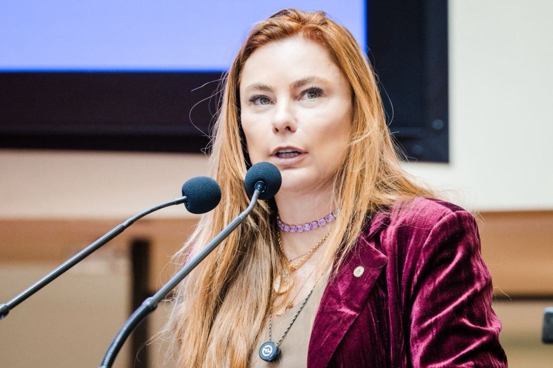 Deputada Paulinha propõe Comissão para avaliar PLs de proteção à mulher