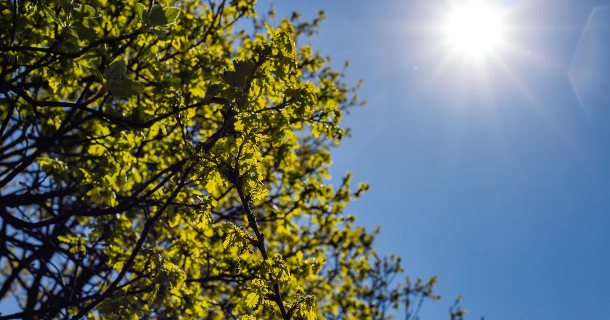 Feriado de Páscoa será de sol e temperaturas próximas dos 30°C em Santa Catarina
