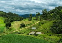 Estado abre inscrições para programa que incentiva a conservação da vegetação nativa no meio rural