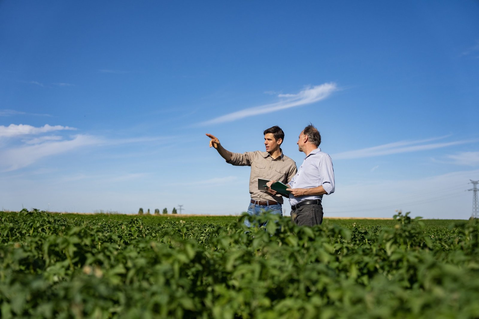 Como reduzir riscos e aumentar a rentabilidade no agro: especialista destaca estratégias para o produtor rural
