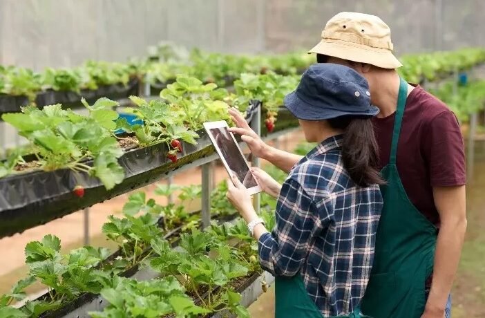 Brasil lidera inovação no agro, mas cooperativas ainda precisam integrar gestão