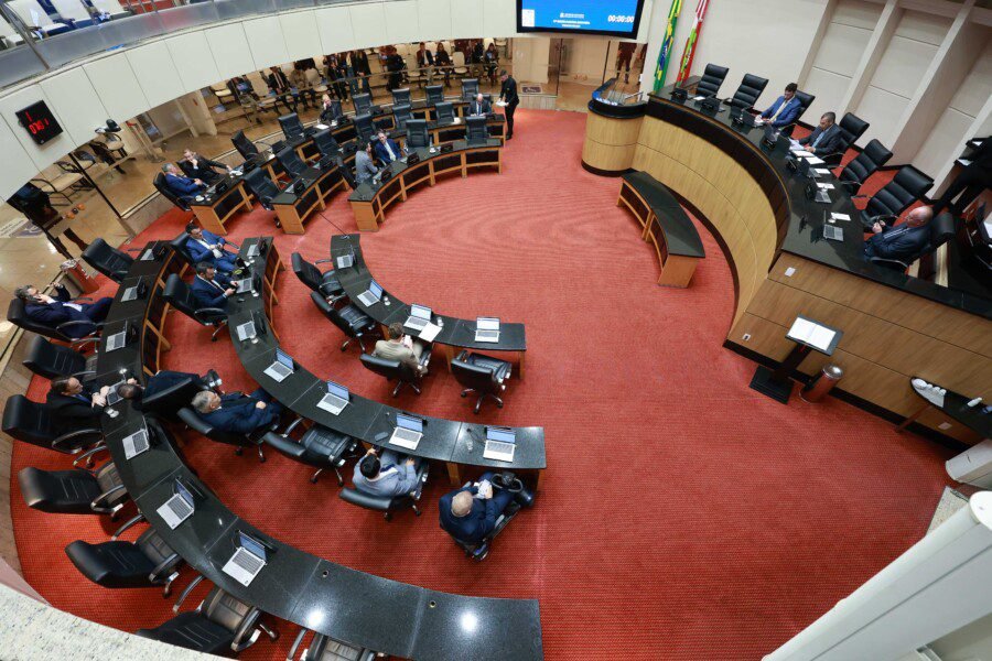 Deputados estaduais elaboram e analisam leis de competência do Estado e fiscalizam as ações do Poder Executivo. Também participam da definição do orçamento estadual e podem apresentar outras proposições previstas no processo legislativo.