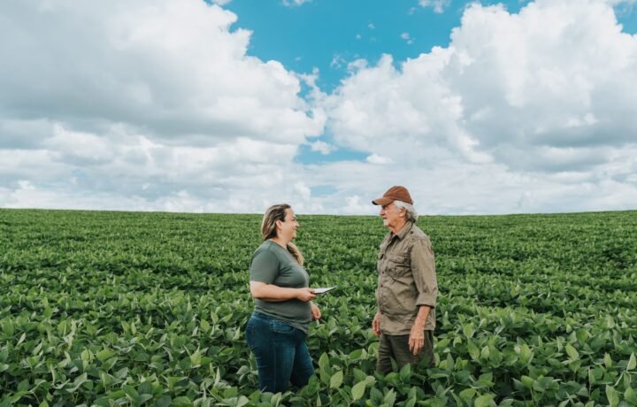 Gestão de riscos climáticos: como se preparar para mudanças no campo
