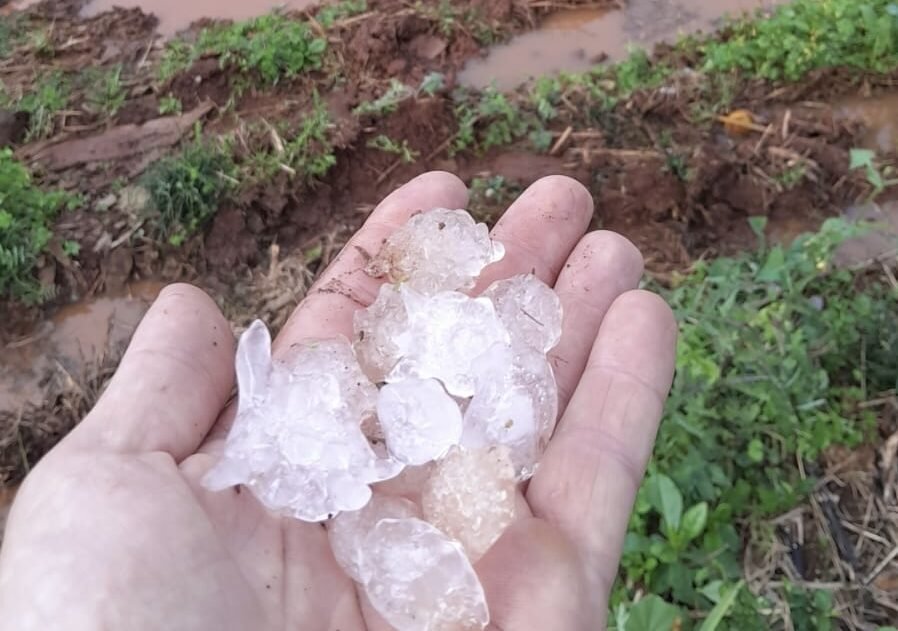 Uma árvore caiu sobre o telhado de uma residência em Gravatal, e uma escola municipal teve dois trechos de muro derrubados pela força do temporal.