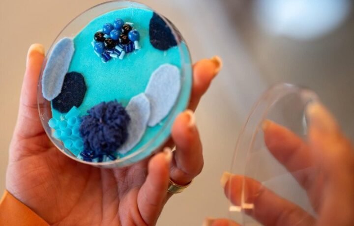 CNI cobra decreto para liberar avanço dos bioinsumos