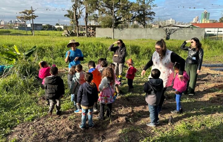Lei para incentivar catarinenses a manterem tributos federais no Estado é aprovada na Alesc