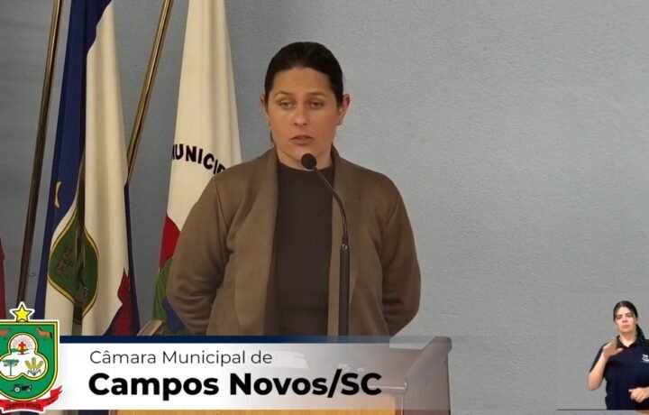 Secretária de Assistência Social presta esclarecimentos na Câmara