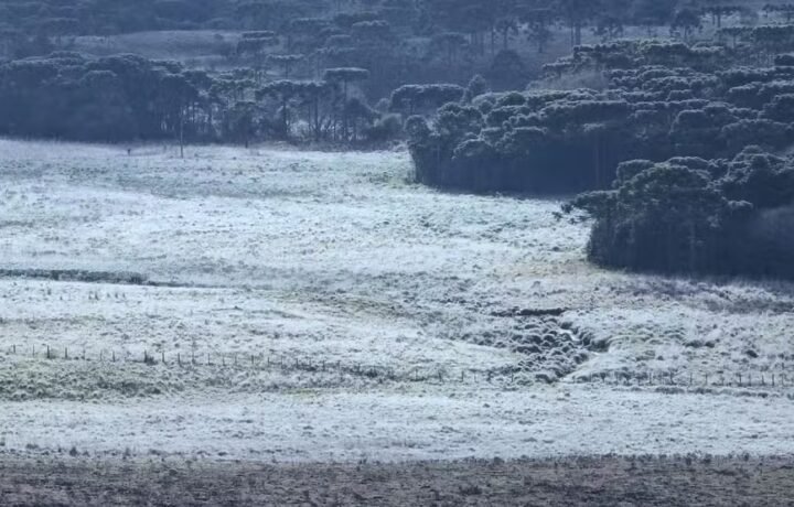 Semana começa com frio, geada e temperaturas negativas