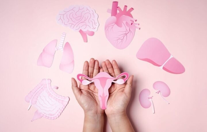 Menopausa: informação, cuidado e qualidade de vida