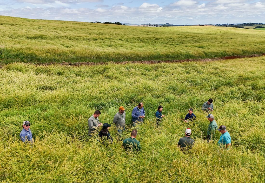 A programação também abordou a participação da cultura na cadeia de produção do Combustível Sustentável de Aviação – SAF.
